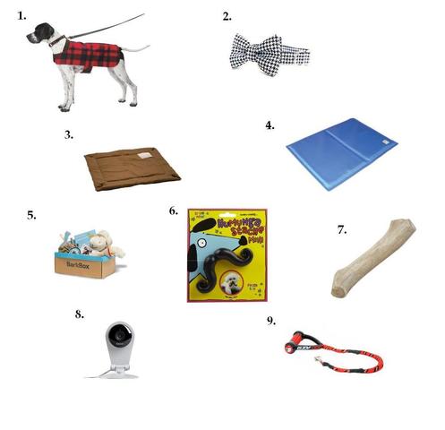 Present ideas for that perfect pooch!