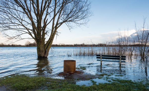 Flood zones rate whether you live in a low, moderate, or high risk area.